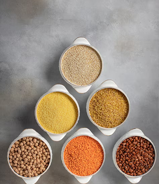 SPICES & PULSES